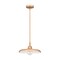 Z-Lite Camden Rubbed Brass 1 Light Pendant 2308P14-RB - alternate 5