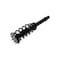 Fcs Struts Suspension Strut And Coil Spring Assembly 1335948R - alternate 4