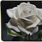 Homeroots 24" White Black And Green Solid Wood and Acrylic Silent Roses Floral Wall Clock 626571 - alternate 3