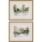 Homeroots Set Of Two Wooded Stream Framed Art Gold Picture Frame Print Wall Art, 2PK 416336 - alternate 1