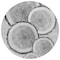 Homeroots 8' Round Gray and Black Round Faux Bois Washable Non Skid Indoor Outdoor Area Rug 564415 - alternate 4