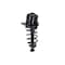 Fcs Struts Suspension Strut And Coil Spring Assembly 1345782R - alternate 5