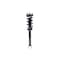 Fcs Struts Suspension Strut And Coil Spring Assembly 1355173 - alternate 1
