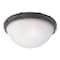 Westinghouse 2LGT Ceiling Fixture 69407 - alternate 1