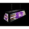 Holland Bar Stool East Carolina University Long Box Billiard Light BxLM2 - alternate 5