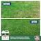 Turf Titan Thatch Buster Soil Amendment 6000 sq ft 32 oz TT32TBHER - alternate 7