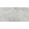 Daltile Grantshire 18in. x 36in. 7.5 MM, 20 Mil Rigid Click Luxury Vinyl Flooring 22.50 SQFT/Carton, 5PK GR44R183620L75M - alternate 5