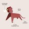 Jonathan Y Rover 10" Modern Industrial Iron Canine LED Kids' Lamp, Red JYL7130A - alternate 7