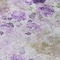 Homeroots 8' X 10' Purple Lavender And Artichoke Green Floral Washable Indoor Outdoor Area Rug 583127 - alternate 6