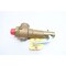 Spirax Sarco THREADED BRONZE RELIEF VALVE 150PSI 2744LBS/HR 1IN NPT 19-KFEL150BD - alternate 3