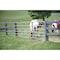 Tarter 50'' H.x12 ' L.x1-3/4'' Tube Diameter Galvanized Tube Gate 6GG12 - alternate 1