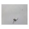 John Deere TORSION SPRING, JOHN DEERE OEM Z53315 Z53315 - alternate 4