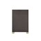Homeroots 15" X 31" X 45" Champagne Wood Mirror Veneer Chest 347152 - alternate 3