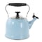 Martha Stewart Everyday Lily Pond 2.2 Quart Stainless Steel Tea Kettle in Periwinkle 137303.01 - alternate 1