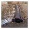 Quick Dam Flood Barriers, 6in x 10 ft x 3.5in QD610-1 - alternate 4