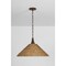 Troy Lighting Kenzo 21in wide 1 Light Pendant in Bronze Leaf F2721-BRL - alternate 3