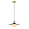 Jonathan Y Hadley 14.5" 1-Light Scandinavian Farmhouse Iron/Frosted Glass LED Pendant, Oil Rubbed Bronze/Brass G JYL1328A - alternate 1
