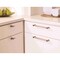 Amerock Mulino 7-9/16 in 192 mm Center-to-Center Silver Champagne/Black Nickel Cabinet Pull BP36725SCBN - alternate 2