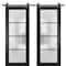Sartodoors Sturdy Double Barn Door with Frosted Glass Planum 2132 Black 84x80 (2* 42x80) Solid Core PLANUM2132DB-BLK-84 x 80 (2* 42x80) - alternate 1