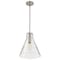 Nuvo Gianna, 1 Light Medium Pendant, Brushed Nickel Finish, Clear Glass 60/8338 - alternate 3
