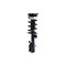 Fcs Struts Suspension Strut And Coil Spring Assembly 2334485L - alternate 3