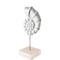 Homeroots Coastal Silverplate Sea Shell Sculpture 392395 - alternate 1