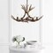Jonathan Y Eldora 30" 5-Light Rustic Farmhouse Adjustable Resin Antler LED Chandelier, Brown JYL6300A - alternate 8