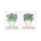 Homeroots Set Of Two Succulents Dream and Believe White Framed Print Wall Art, 2PK 407931 - alternate 1
