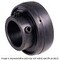 Edt INSERT BALL BEARING 5Y218-55MO - alternate 3