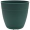 Bloem Dayton Ocean Planter, 6 in Dia, Round, Plastic, Turtle Green DAY0655 - alternate 4