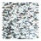 Apollo Tile Beige Brown 11.8 in x 11.8 in Shell Polished Floor and Wall Mosaic Tile 19.34 sqft/case, 20PK APLJWS8801A - alternate 1