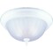 Boston Harbor Two Light Flush Mount Ceiling Fixture, 120 V, 60 W, 2-Lamp, A19 or CFL Lamp F51WH02-1005-3L - alternate 1