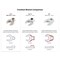 Tekton 3/8 Inch Drive Crowfoot Wrench Set, 21-Piece (5/16-3/4 in., 8-19 mm) WCF93301 - alternate 4