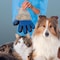 True Touch True Touch As Seen On TV Blue Cat/Dog Grooming Mitt 1 pk PKB08124 - alternate 4