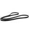 Motorcraft Serpentine Belt,  JK81267A - alternate 2