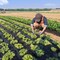 Vevor Weed Barrier Landscape Fabric 3*250FT Heavy Duty Woven PP Weed Control Mat 0.9*76.2-170 - alternate 5