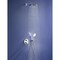 Grohe Tempesta 250 Showerhead - Round 1.75Gpm 26715000 - alternate 3