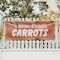Signmission Farm Fresh Carrots, 24 Inch x 72 Inch, Vinyl Banner B-72-30585 - alternate 2