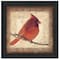 Homeroots Male Cardinal 2 Black Framed Print Wall Art 407370 - alternate 1