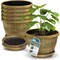 Lifemaster 10-Inch Whiskey Barrel Planters, Durable Plastic Pots with Drainage and Saucers, 5PK LMPBP5GOD5 - alternate 1