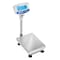 Adam Equipment Bench and Floor Checkweighing-GFK-P 75-Capacity: 165lb/75kg Readability: 0.01lb/5g GFK-P 75 - alternate 1