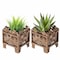Gardenised Set of 2 Outdoor Living Butterfly Square Plant Stands Flower Pots, Bronze Finish QI004122 - alternate 1