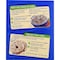 Lipton Kosher Recipe Secrets Vegetable Soup and Dip Mix, 2 Ounce, 12PK 41000005749 - alternate 5