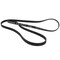 Motorcraft Serpentine Belt,  JK81263 - alternate 2