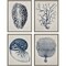 Homeroots Set Of Four Coastal Silver Framed Print Wall Art, 4PK 416747 - alternate 1