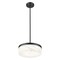 Z-Lite Renaud Matte Black 1 Light Pendant 827P13-MB-LED - alternate 5