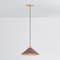 Hudson Valley Lighting Clivedon 12 in. Pendant in Aged Brass/Soft Crimson by Mark D. Sikes MDS1401-AGB/CRN - alternate 4