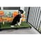 K9 Kennel Store 2ft X 4ft Quick N Clean Potty Station W/Pee Guard 2X4PS-PG - alternate 4