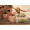 Mrs. Meyers Clean Day Clean Day Pets Liquid Odor Neutralizer 12 oz 12112 - alternate 5