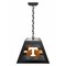 Holland Bar Stool University of Tennessee Pendant Box Light BxLM1 - alternate 1